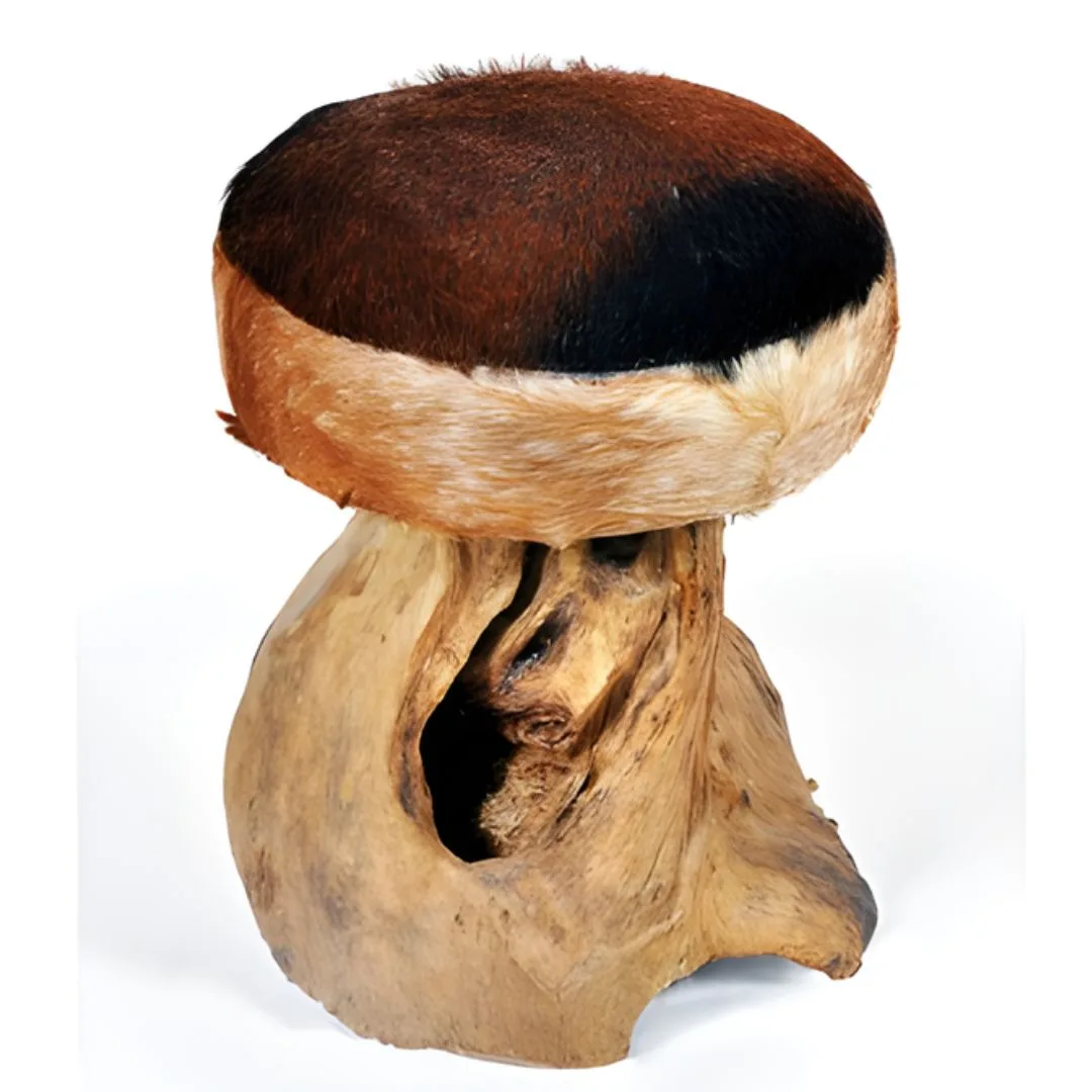 Stool Collection 01 #1